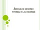 Žmogaus genomo tyrimai ir jų reikšmė 