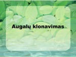 Augalų klonavimas skaidrės 1