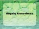 Augalų klonavimas skaidrės