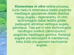 Augalų klonavimas skaidrės 3