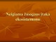 Neigiama žmogaus įtaka ekosistemoms