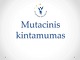 Mutacinis kintamumas projektas