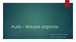 Ausies sandara, garsas ir jutimas 1
