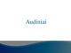 Audiniai ir jų rūšys 