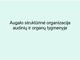 Augalų organizacija