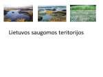 Lietuvos saugomos teritorijos skaidrės 1