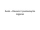 Klausos ir pusiausvyros organas - Ausis