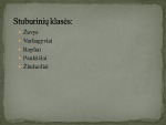 Pagrindiniai stuburinių gyvūnų požymiai 3