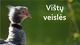 Vištų veislės skaidrės