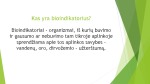 Oro Bioindikatoriai 2