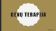 Genų terapija projektas