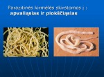 Helminth fertőzések emedicine, Bél- és rektális betegségek