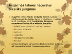 Gyvūninės/augalinės kilmės natūralūs toksinai 3
