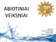 Abiotiniai veiksniai projektas