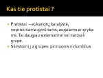 Protistų karalystė projektas 3