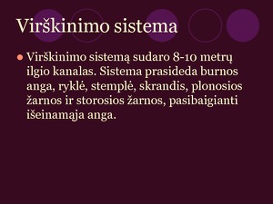 Virskinimo Sistemos Organai Mokslobaze Lt