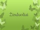 Žinduoliai: atstovai, reikšmė, kūno danga