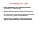 Raumenų sistema: raumenų rūšys