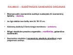 Raumenų sistema: raumenų rūšys 2