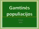 Gamtinės populiacijos projektas