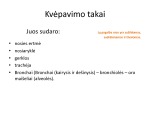 Kvėpavimo reikšmė 3