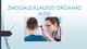 Žmogaus klausos organas - ausis