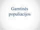 Gamtinės populiacijos skaidrės