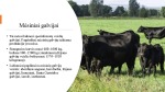 Genetikos mokslo naujovės vykdant galvijų tyrimus 3
