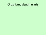 Organizmų dauginimasis prezentacija 1