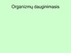 Organizmų dauginimasis prezentacija
