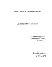 Sveika mityba ir pagrindiniai jos principai 2