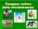 Žmogaus veiklos įtaka ekosistemoms