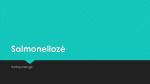 Salmoneliozė projektas 1