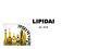 Lipidai projektas