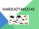 Nariuotakojai prezentacija 