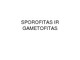Sporofitas ir gametofitas