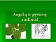 Augalų ir gyvūnų audiniai