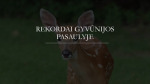 Rekordai gyvūnijos pasaulyje 1