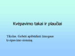 Žmogaus kvėpavimo sistema prezentacija 1