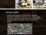 Vandens tarša: priežastys ir pasekmės 2