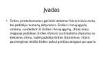 Fizinio krūvio įtaka pulso dažniui prezentacija 2