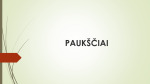 Paukščių kilmė projektas 1