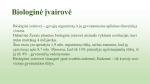 Biologinė įvairovė prezentacija 3