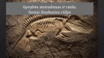 Gyvybės atsiradimas ir raida skaidrės 1