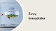 Žuvų kraujotaka projektas