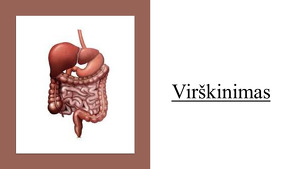Virskinimo Procesas Projektas Mokslobaze Lt