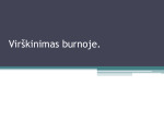 Virškinimas burnoje skaidrės 1