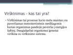 Virškinimas burnoje skaidrės 2