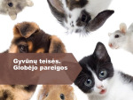 Gyvūnų teisės prezentacija 1