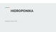 Hidroponika skaidrės